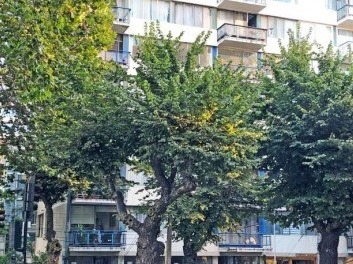 Departamento en venta en Libertad, Viña del Mar - 3 dormitorios, 2 baños