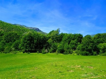Terreno Agricola en venta en Lonquimay, Lonquimay