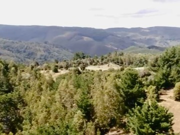 Sitio en venta en Trovolhue, Carahue