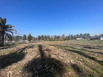 Venta / Terreno / Talagante