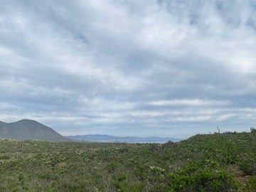 Terreno en venta en Venta terreno Coquimbo 5000mt2 rol propio (70904), Coquimbo
