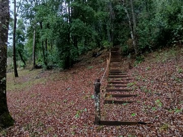Venta / Terreno / Santa Bárbara