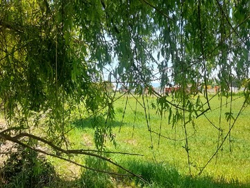 Parcela en venta en Peralillo, Peralillo