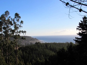 Terreno en venta en Cardonal // 8 hectáreas con vista al mar (118351), Pelluhue