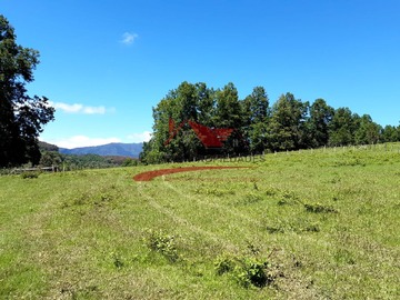 Terreno en venta en Parcela de 5.000 Metros Cuadrados, Loncoche