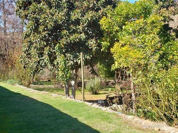 Terreno Agricola en venta en Campo Colliguay casi todo nativo, Quilpué