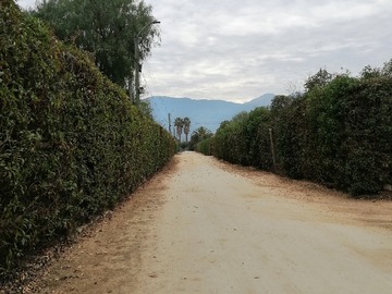 Parcela en venta en Olmué Parcela - 7 dormitorios, 3 baños