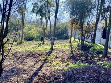 Sitio en venta en Condominio Las Hermanas / Maitencillo, Puchuncaví