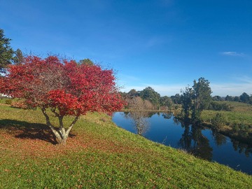 Terreno en venta en Refugio Privado / Entorno Natural y Seguro (166432), Puerto Varas