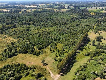 Terreno Agricola en venta en 68 hectáreas a 3,5 kms de ruta asfaltada, Río Bueno