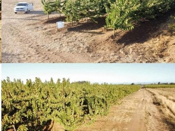 Terreno Agricola en venta en Camino Interior Tres Esquina de Bulnes, comuna de Bulnes, Bulnes
