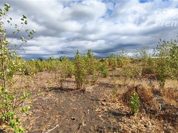 Parcela en venta en Campanario, Yungay