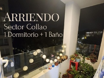 Departamento en arriendo mensual en Departamento vive collao, 1 dormitorio + 1 baño, Concepción - 1 dormitorio, 1 baño