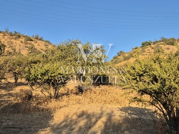 Terreno en venta en 5.000 m2 de terreno virgen en Fco de Mostazal (174060), Mostazal