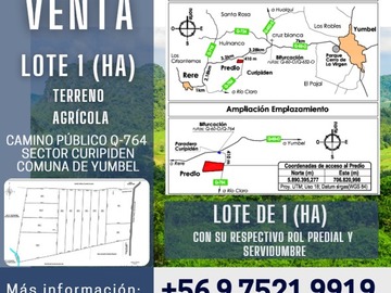 Venta / Terreno Agricola / Yumbel