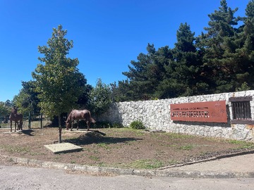 Terreno en venta en Vendo sitio en mitrinhue (174622), Coronel