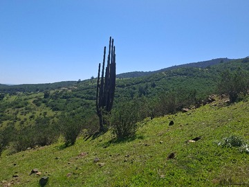 Terreno en venta en Gran Parcela con Excepcionales Vistas, Catapilco, Zapallar