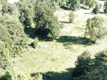 Terreno en venta en Terreno excelente conectividad Rio Bueno (171980), Río Bueno