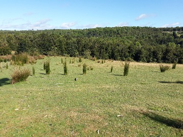 Terreno en venta en V-861, Calbuco