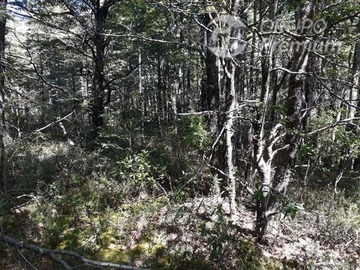 Parcela en venta en Camino El Volcán Lote 3-A Zanjón Seco Pucón, Pucón