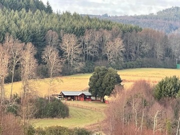 Sitio en venta en Villa- alegre / Pedregoso / Villarrica, Villarrica - 3 dormitorios, 2 baños