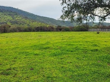Parcela en venta en Camino el dibujo 100 , melipilla, Melipilla