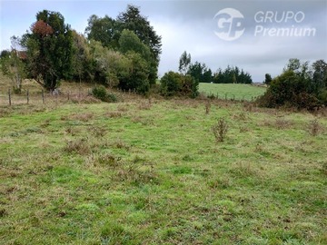 Parcela en venta en Rio Bueno, sector Boquial 1, Río Bueno
