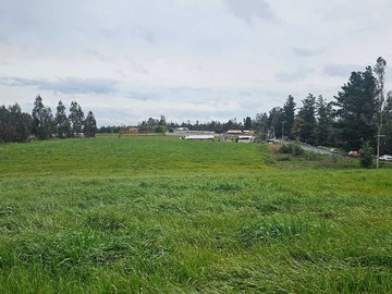 Terreno en venta en Camino Temuco Chol Chol (129530), Temuco