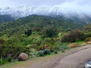 Venta / Terreno / Curacaví