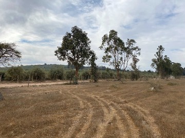 Terreno en venta en Oportunidad Única: Terreno con Gran Potencial (153361), Litueche
