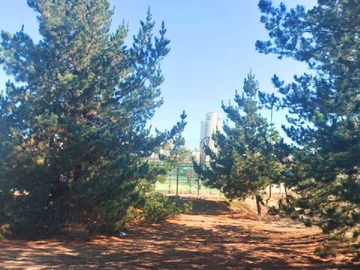 Terreno en venta en Los Pinos/Reñaca Bajo/Viña del Mar (140532), Viña del Mar