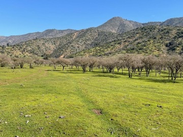 Terreno Agricola en venta en Camino a los guindos, melipilla, Melipilla