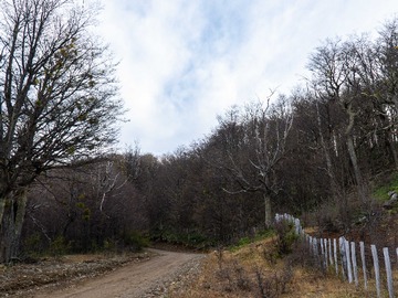 Terreno en venta en {"Error":"Could Not Find A Suitable Tls Ca Ce (138952), Coyhaique
