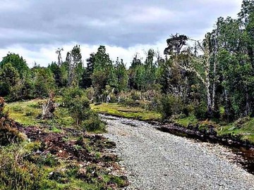 Venta / Terreno / Ancud