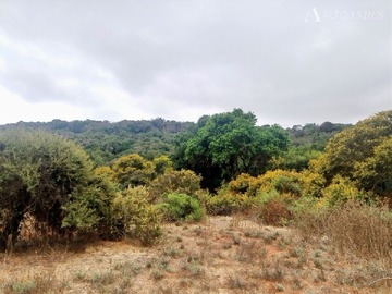 Venta / Sitio / Quintero