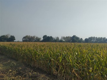 Terreno Agricola en venta en Las Delicias Km 4.4, San Clemente