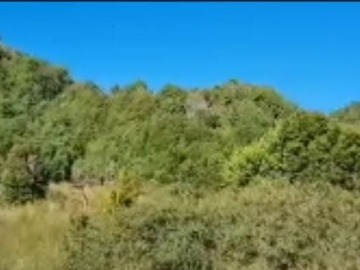 Sitio en venta en Isla Laitec, Quellón