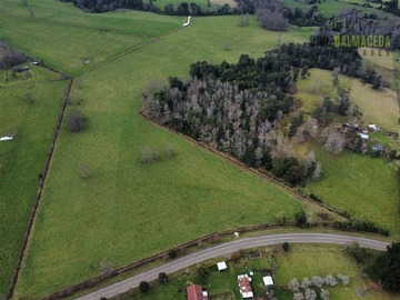 Parcela en venta en Campito de 5 hectareas a 25 min de Rio Bueno y 19 min de Lago Ranco, Futrono