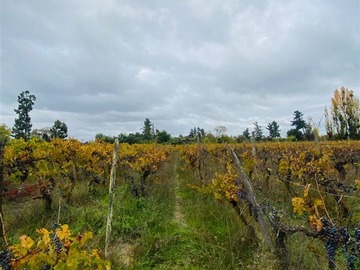 Parcela en venta en Las rastras ranquimili, Talca
