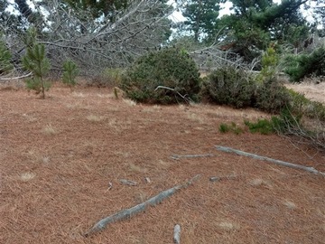 Parcela en venta en Camino al Faro Laguna vede, Valparaíso
