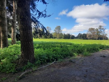 Parcela en venta en Entre purranque y frutillar, Frutillar