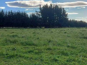 Terreno en venta en Ideal para Desconectar y Disfrutar (148982), Freire