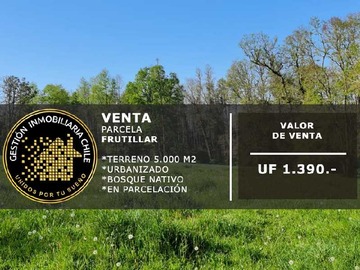 Terreno en venta en Preciosa Parcelas Urbanizadas frutillar (147172), Frutillar