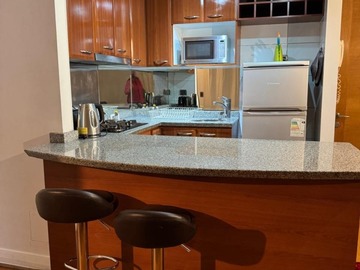 Departamento en arriendo mensual en Metro pedro de valdivia - providencia, Providencia - 1 dormitorio, 1 baño