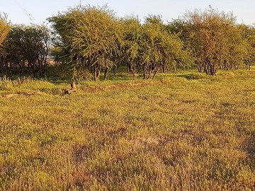 Parcela en venta en Hermosa Parcela de 5.000 M con Rol Propio