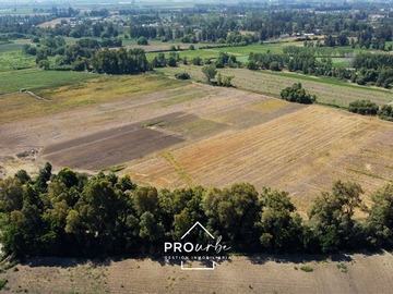Parcela en venta en Venta Parcela Agrícola 17 has suelos RI y RII, Champa, Paine, Paine - 3 dormitorios, 2 baños
