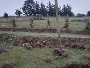 Parcela en venta en Bucalemu, Paredones