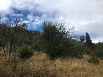 Venta / Parcela / Curacaví