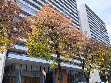 Departamento en venta en Alcántara, Barrio el Golf., Las Condes - 3 dormitorios, 3 baños