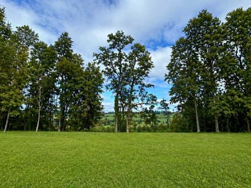 Terreno en venta en Parcela 6.000 m2 - condominio altos del río (159835), Osorno